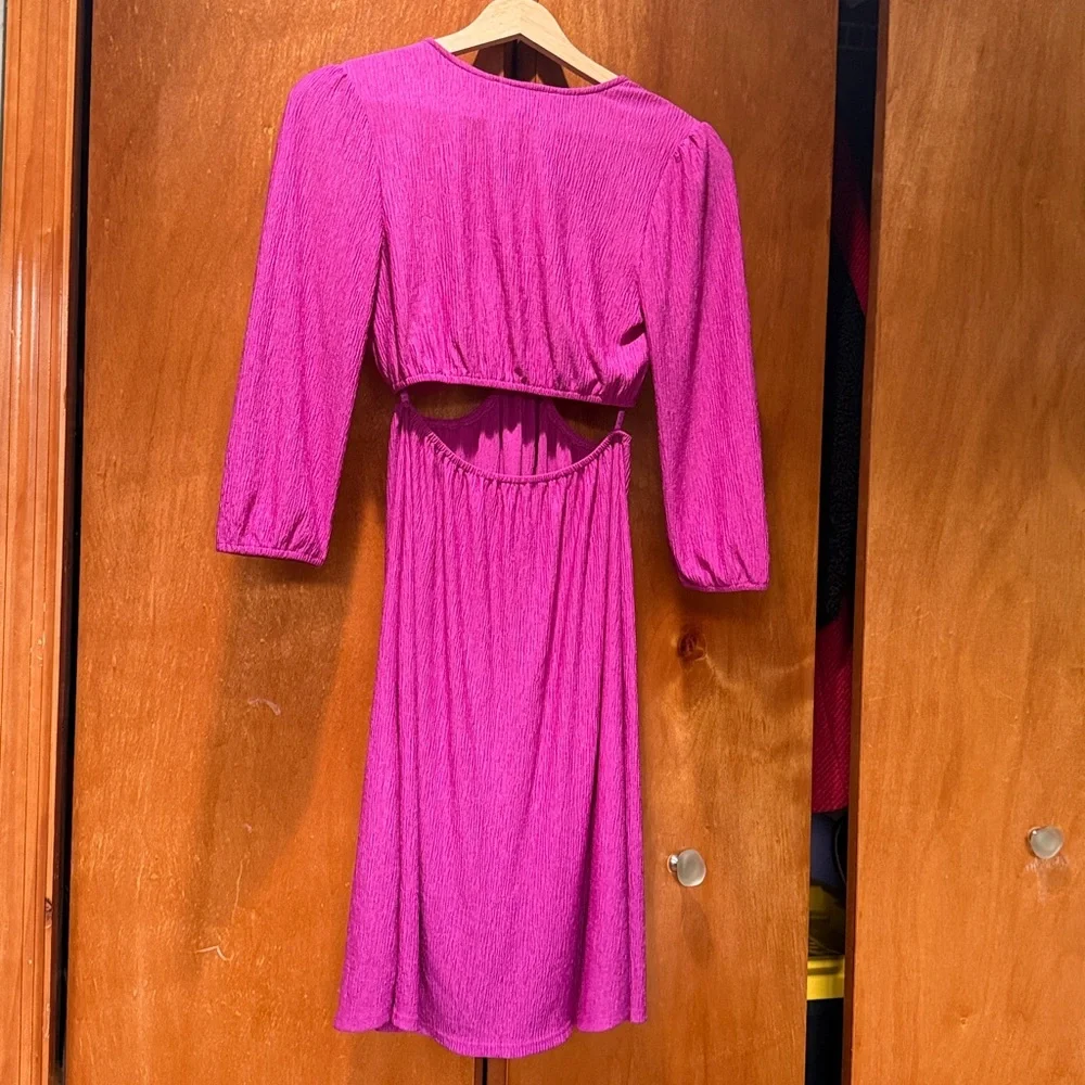 Monteau Vibrant Fuchsia Long Sleeve Dress